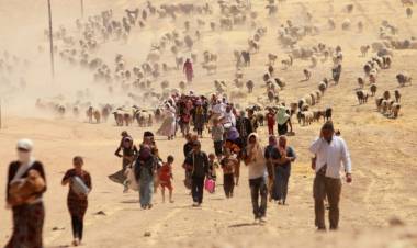 Yezidilerin dramı