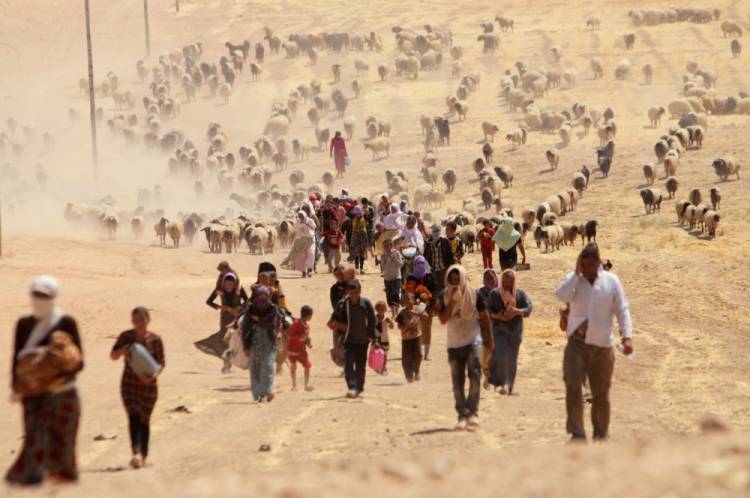 Yezidilerin dramı